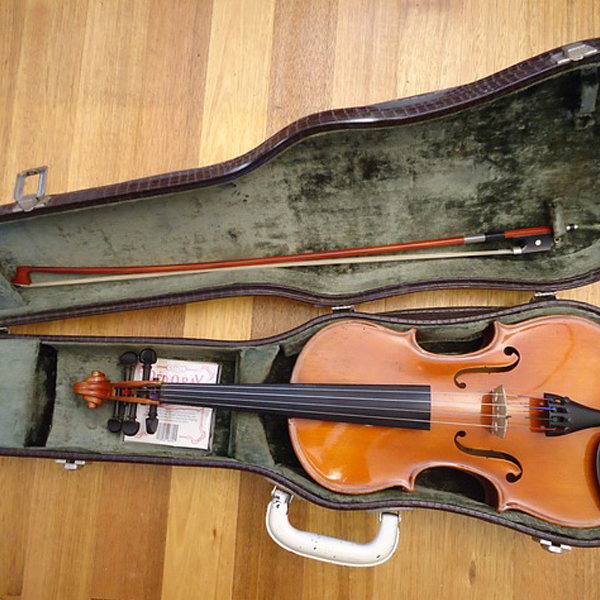 Viola toeira