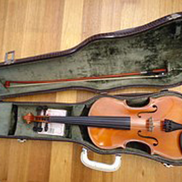 Viola amarantina