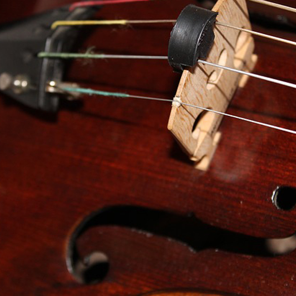 Viola de arame
