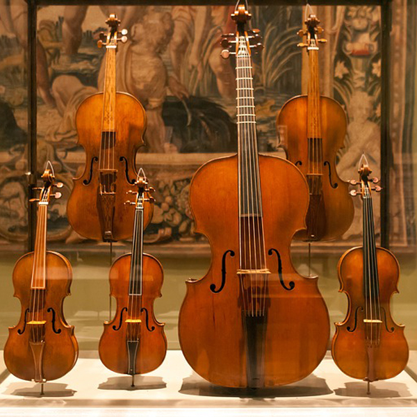Viola campaniça