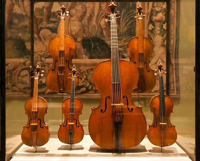 Viola campaniça