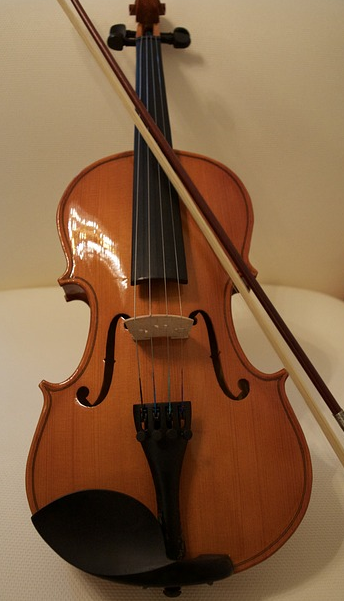 Viola de arame