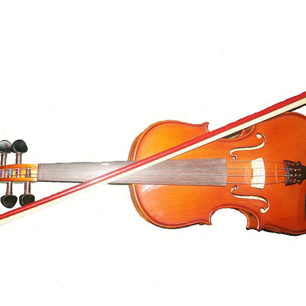 Viola beiroa